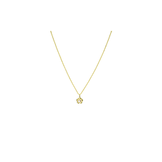 Golden Pearl Blossom